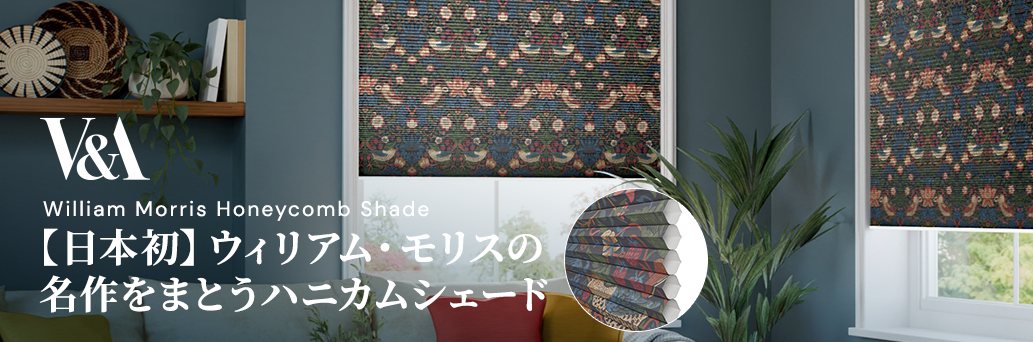 Blinds at Amazing Prices