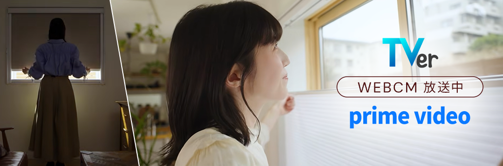 Blinds at Amazing Prices