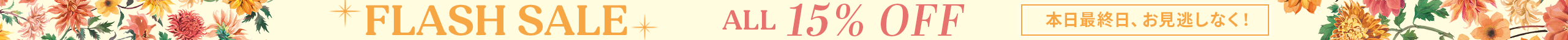 large offer snippet