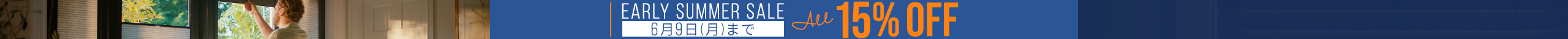large offer snippet