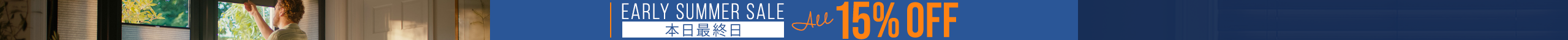 large offer snippet