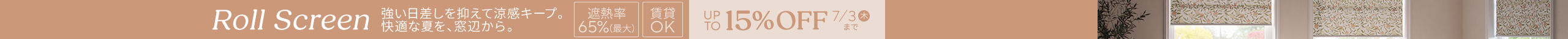 large offer snippet