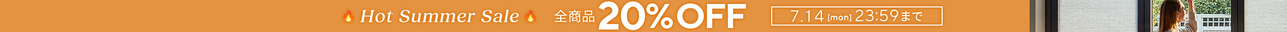 large offer snippet