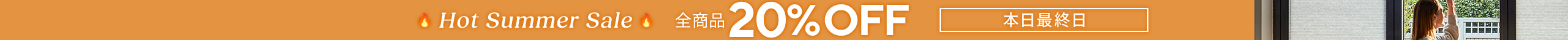 large offer snippet