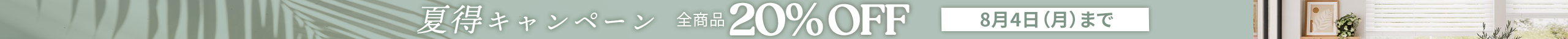 large offer snippet