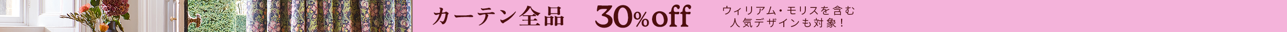 large offer snippet