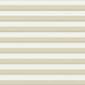 サムネイル写真